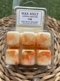 WAX MELT • CALABAZA ESPECIADA