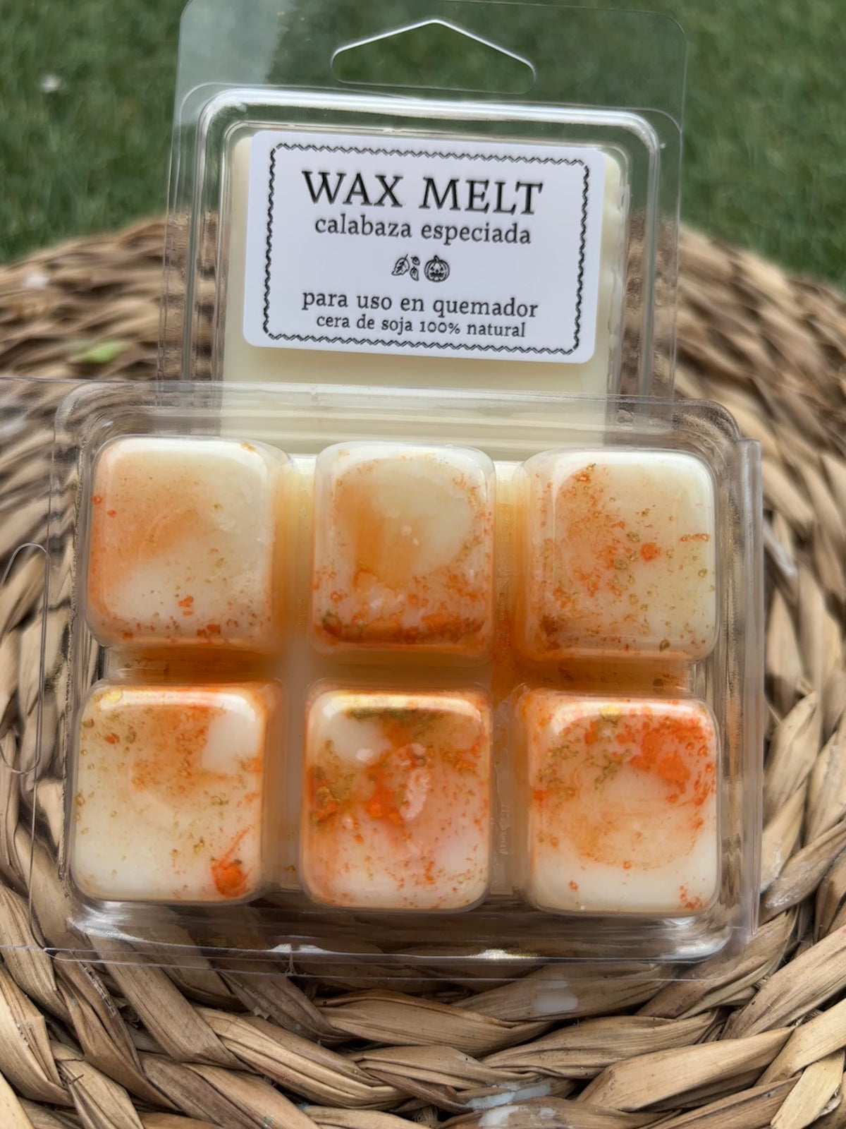 WAX MELT • CALABAZA ESPECIADA